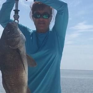 Meet your Posher, Stella